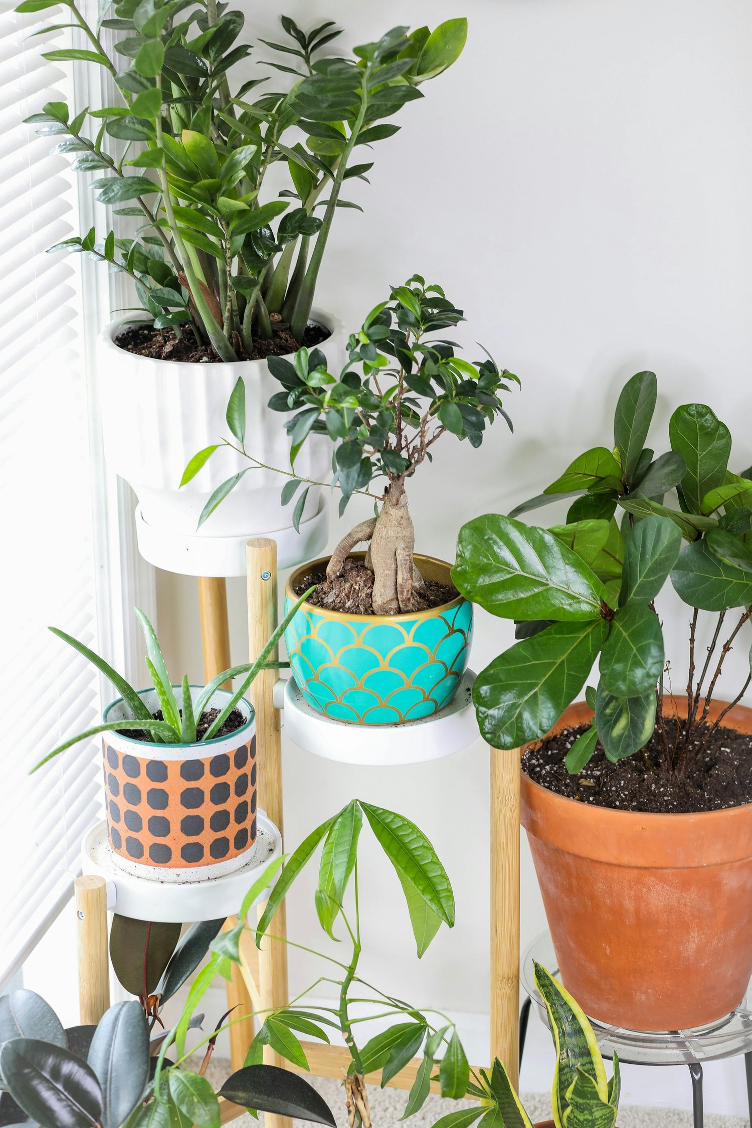 Pots & Planters